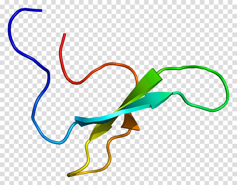 NEDD4L Protein structure Cell Enzyme, others transparent background PNG clipart