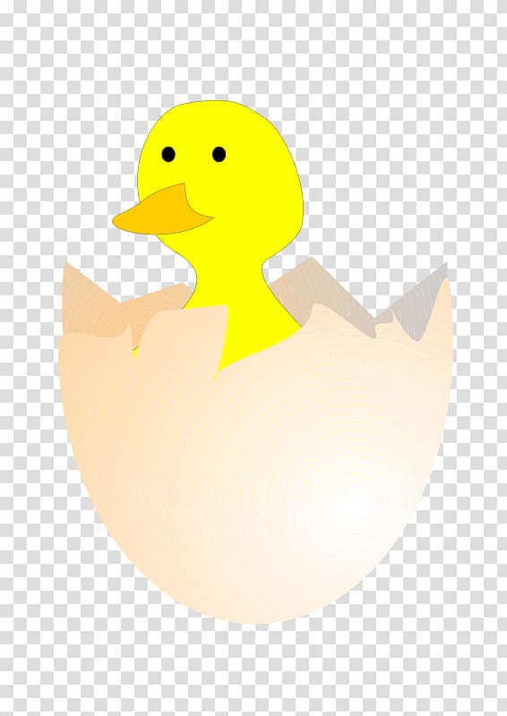 Chicken Duck Kifaranga , hatching transparent background PNG clipart