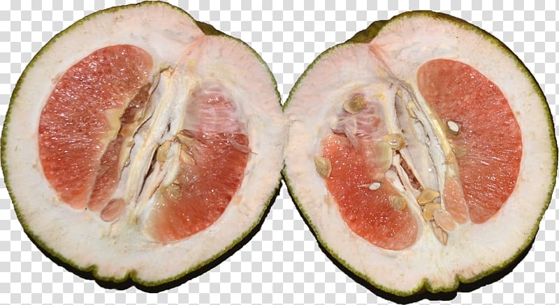 Pomelo Grapefruit Bitter orange Lemon Citron, grapefruit transparent background PNG clipart
