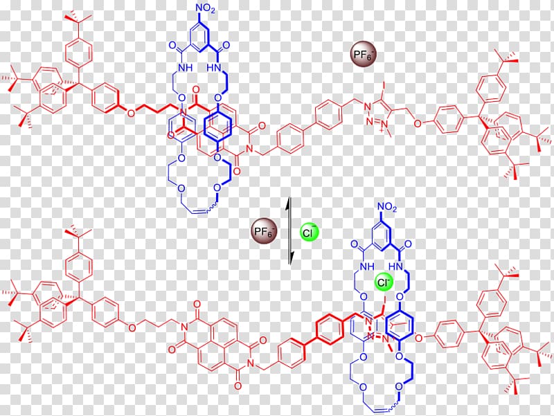 Anion Chloride Molecule Rotaxane, others transparent background PNG clipart