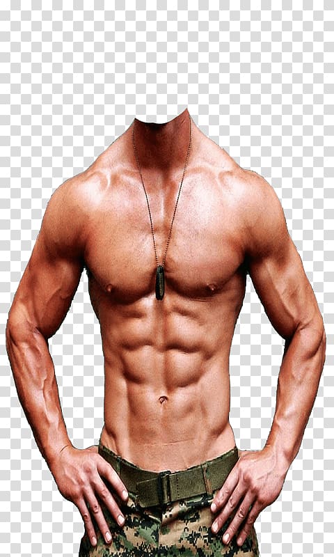 muscle body clipart template