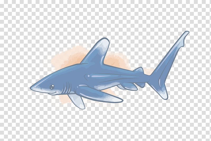 Requiem shark, shark transparent background PNG clipart