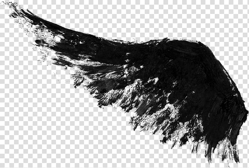 Black and white Ink Wing, paint ink transparent background PNG clipart