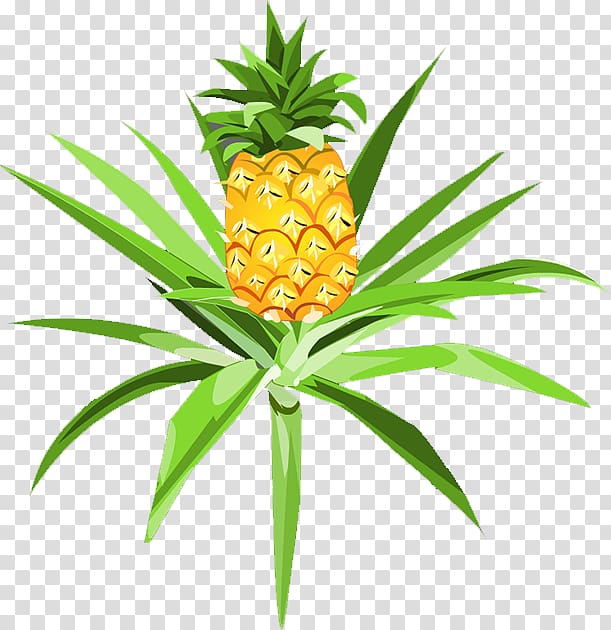 Pineapple Pitaya Auglis, pineapple transparent background PNG clipart