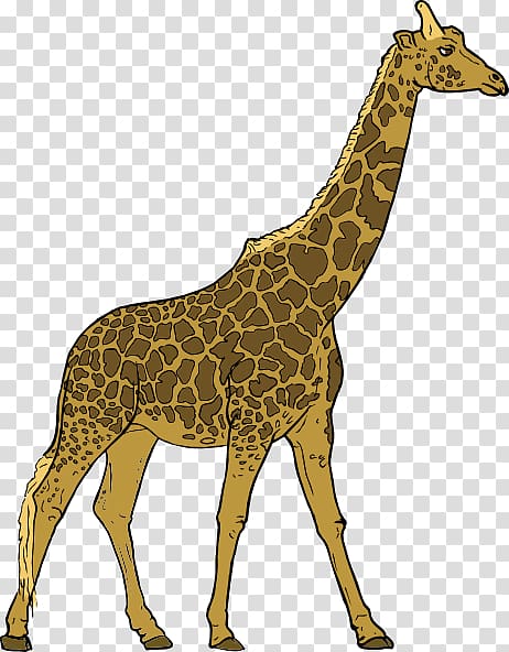 Giraffe Herbivore Animal , Free Giraffe transparent background PNG clipart