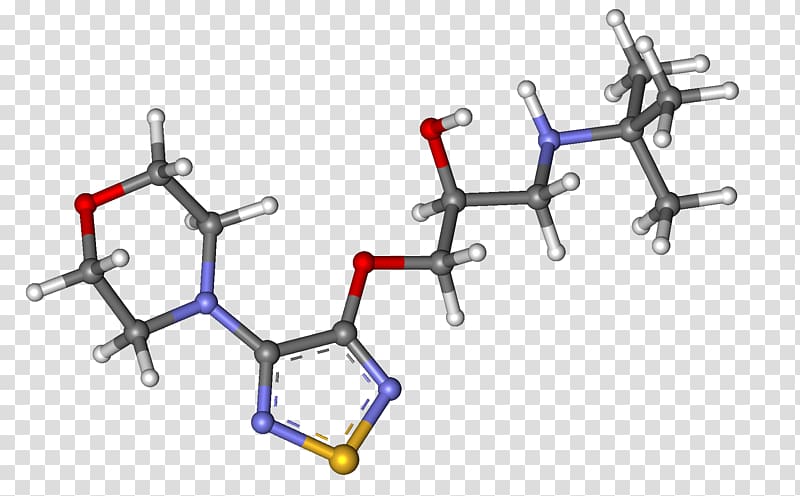 timolol beta 1blocker adrenergic receptors eye