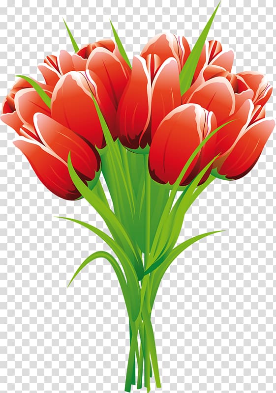 Skagit Valley Tulip Festival , tulip transparent background PNG clipart