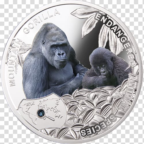 Gorilla Coin Silver Numismatics Mint, Mountain Gorilla transparent background PNG clipart