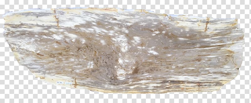 Mineral Petrified wood Petrifaction Rock, wood slab transparent background PNG clipart
