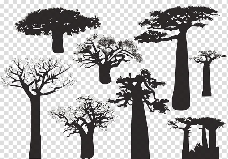 tree , Baobab Tree Silhouette, Desert dead tree species transparent background PNG clipart
