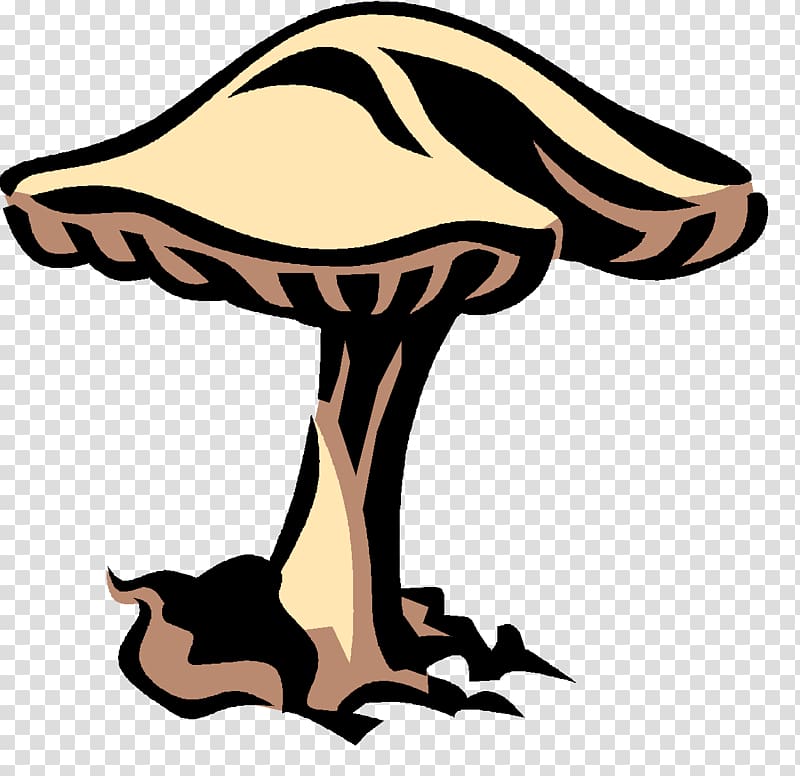Detritivore Mushroom Protist Heterotroph Three-domain system, mushroom transparent background PNG clipart
