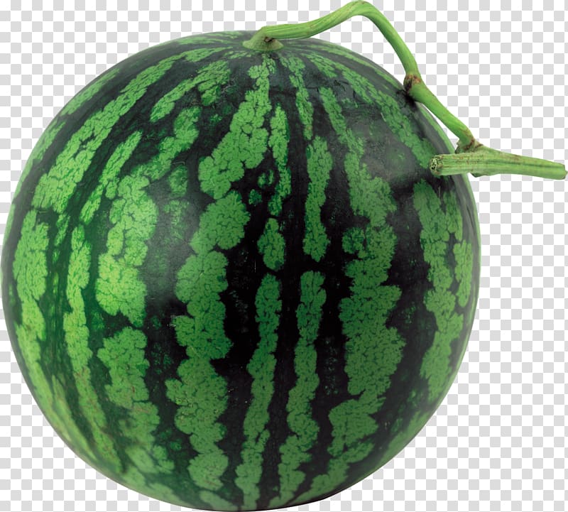 Citrullus lanatus Crookneck pumpkin Watermelon Food Vegetable, watermelon transparent background PNG clipart