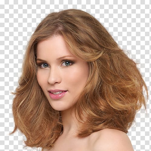 Claudia Pavlovich Arellano Institutional Revolutionary Party PRI Sonora Blond Governor, loreal transparent background PNG clipart