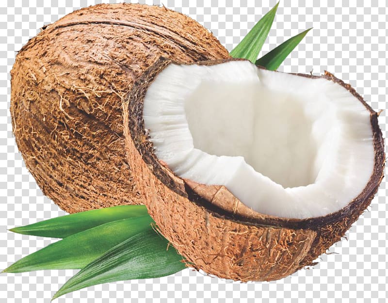 Coconut oil Carrier oil Coconut milk Cream, coconut transparent background PNG clipart