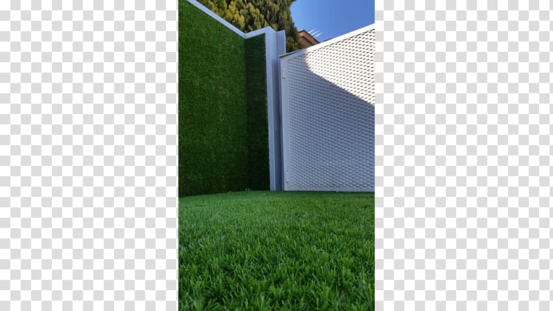 Artificial turf Lawn Garden Green wall Trellis, house transparent background PNG clipart