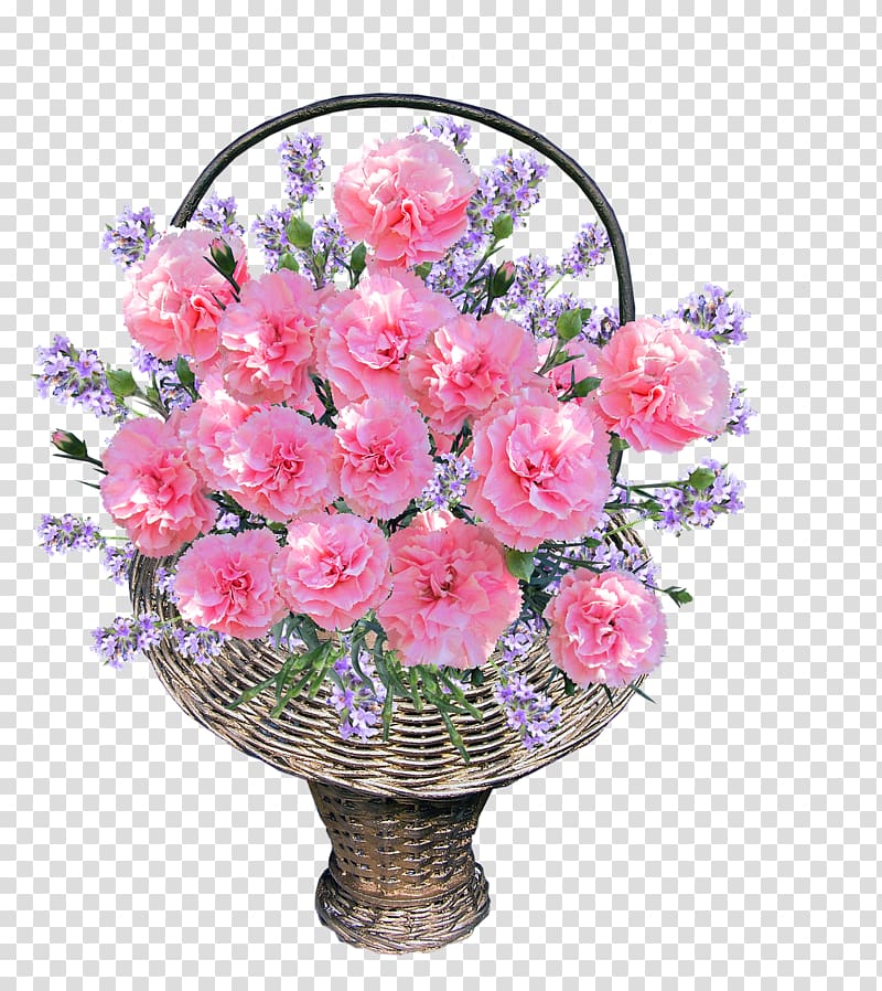 Carnation Cut flowers Floral design Flower bouquet, CARNATION transparent background PNG clipart