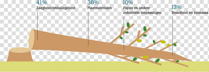 Paper Hollandse Hout Meter Wood Unit of measurement, wood transparent background PNG clipart