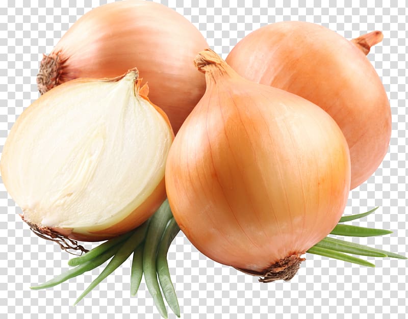 Onion transparent background PNG clipart