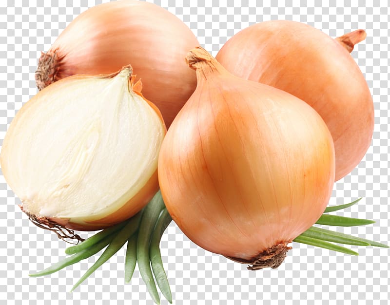 Onion Food Vegetable Nutrition Eating, Onion , free transparent background PNG clipart