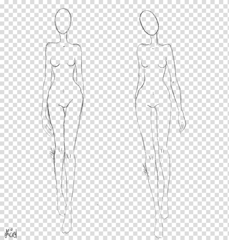 Human body Female body shape Diagram Drawing Template, Body Human