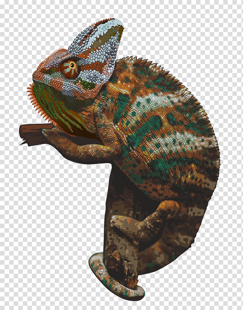 Chameleons , Chameleon transparent background PNG clipart