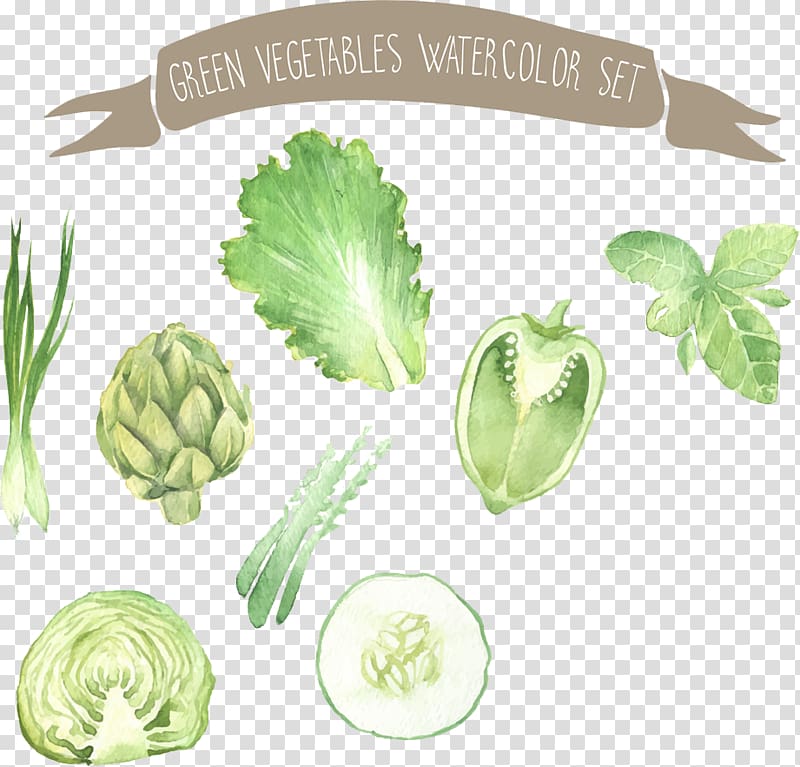 green veggies , Watercolor painting Vegetable Drawing Illustration, Watercolor vegetables transparent background PNG clipart