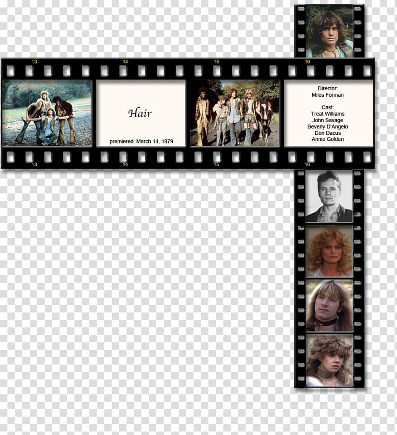 Film director The Wizard of Oz Film poster Film frame, golden reel transparent background PNG clipart