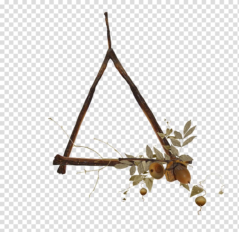 Leaf Twig Triangle , Triangle litter transparent background PNG clipart