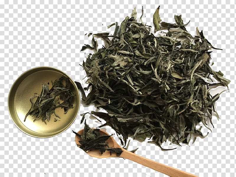 White tea Dianhong Golden Monkey tea Nilgiri tea, tea transparent background PNG clipart
