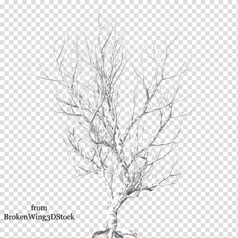 Tree Winter Light , snow tree transparent background PNG clipart