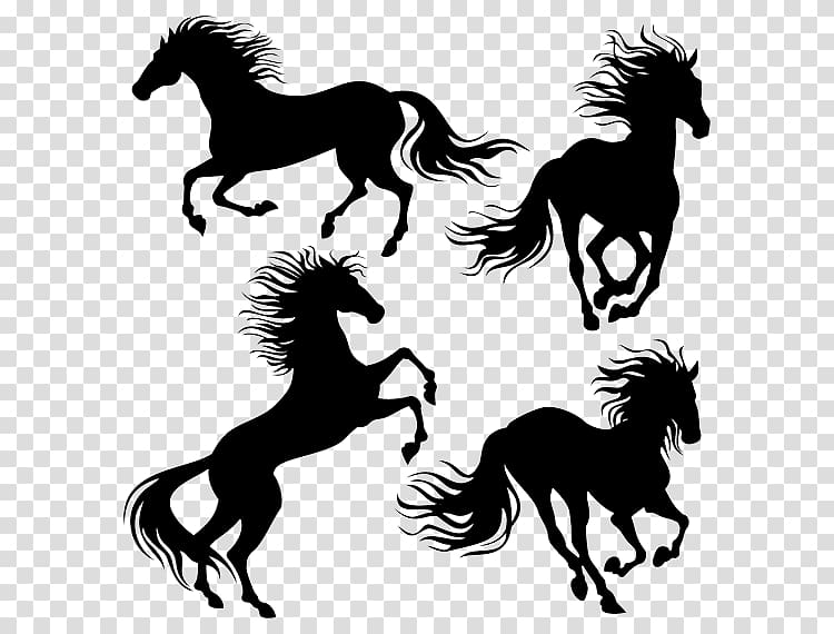 Horse Rearing Stallion , Dark Horse transparent background PNG clipart