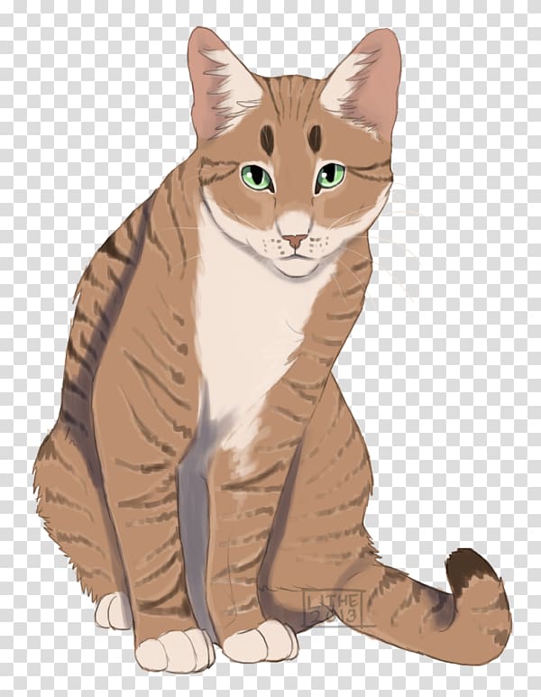 Cat Warriors ThunderClan Hazeltail Wikia, Cat transparent background PNG clipart