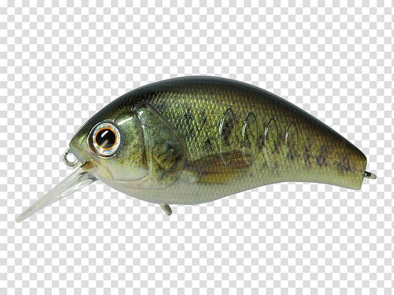 Spoon lure Oily fish Korrigan Rod, others transparent background PNG clipart