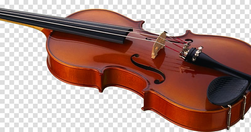Violone Bass violin Viola Fiddle, violin transparent background PNG clipart