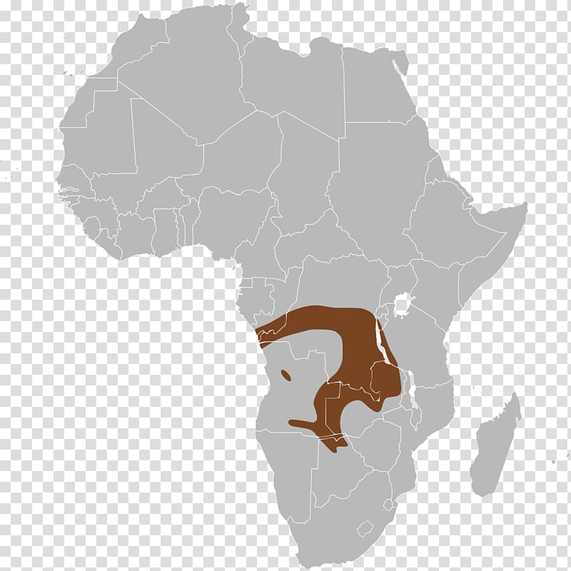 Central Africa Blank map Map, map transparent background PNG clipart