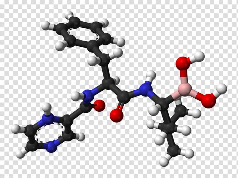 Bortezomib Pharmaceutical drug Sildenafil Tadalafil United States Adopted Name, others transparent background PNG clipart