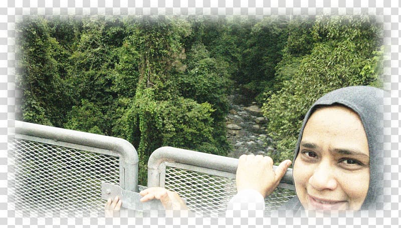 The Tree Top Walk Sungai Sedim Karanga, Subhanallah transparent background PNG clipart