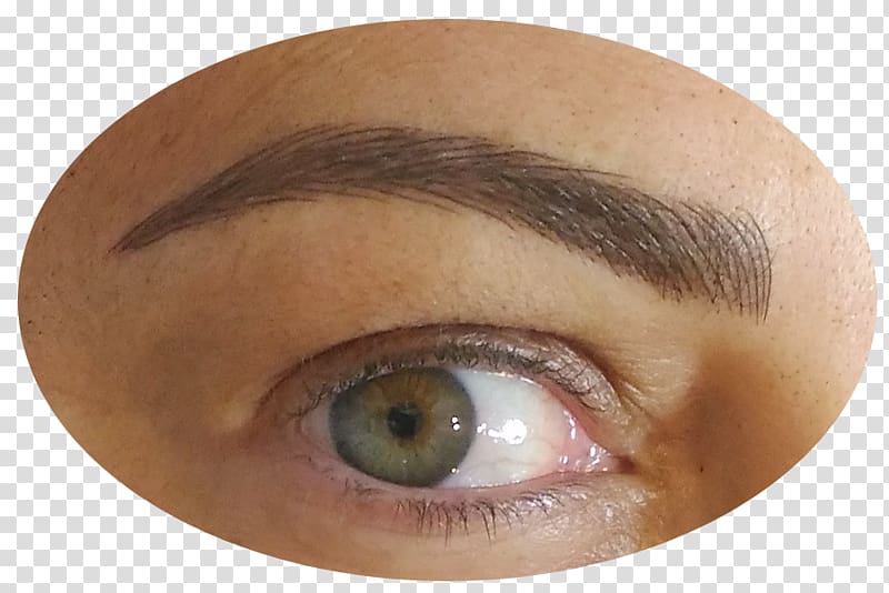 Permanent makeup Eyebrow Eye Shadow Microblading Lip, sobrancelhas transparent background PNG clipart