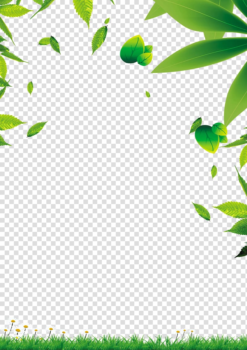 Green Leaf, Green leaves transparent background PNG clipart