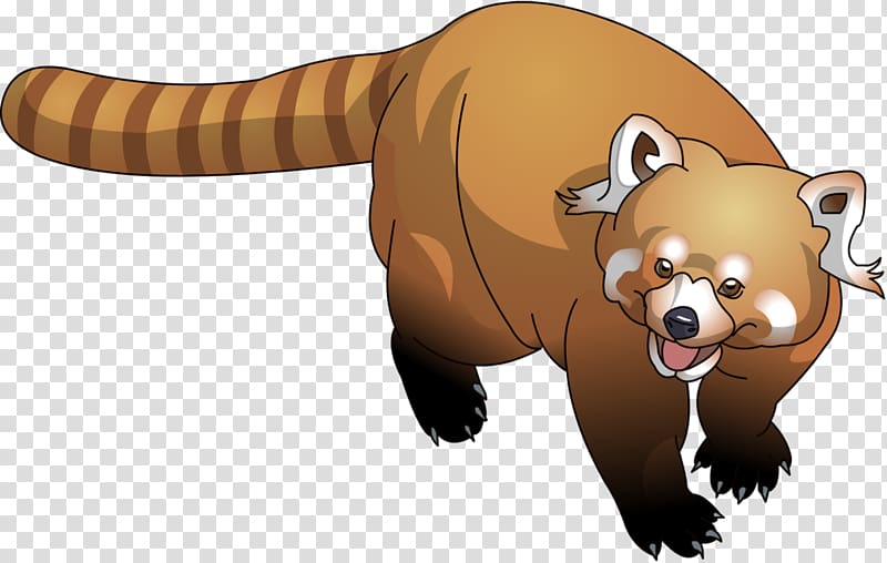 Raccoon Red panda Bear Cartoon, Raccoon material transparent background PNG clipart