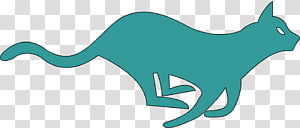 Whiskers Cat , Cat transparent background PNG clipart thumbnail