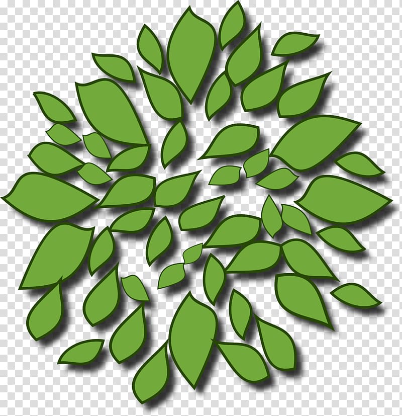 Tree Computer Icons Arecaceae , tree top view transparent background PNG clipart