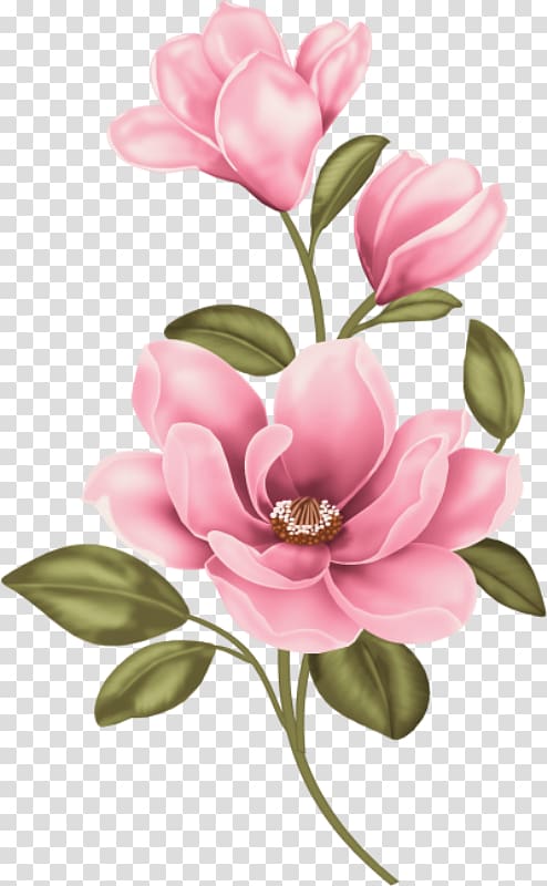 Painting Flower Chinese magnolia Paint Your Own Masterpiece , magnolia blossom transparent background PNG clipart
