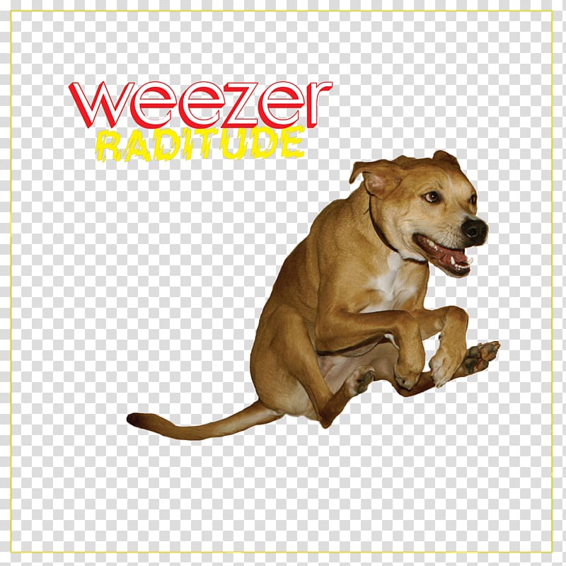 Weezer Raditude Album Buddy Holly Maladroit, Weezer transparent background PNG clipart