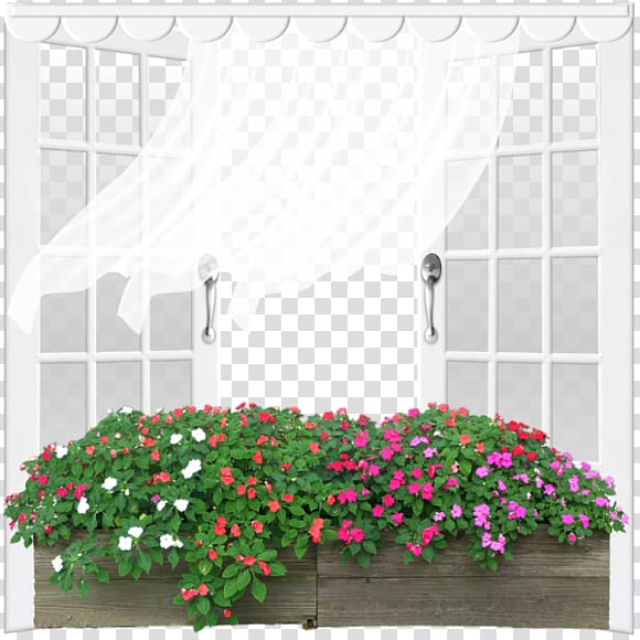 Grow light Flower Ornamental plant, White window transparent background PNG clipart