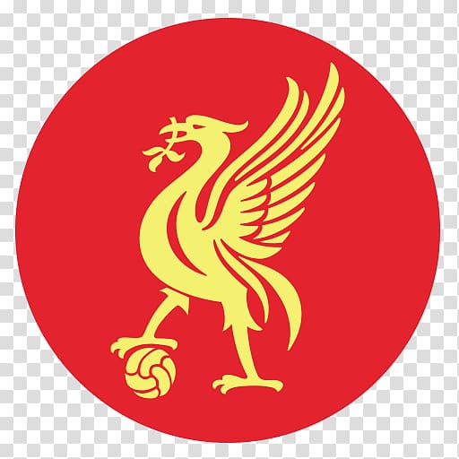 Liverpool F.C. Women Anfield Football UEFA Champions League, football transparent background PNG clipart