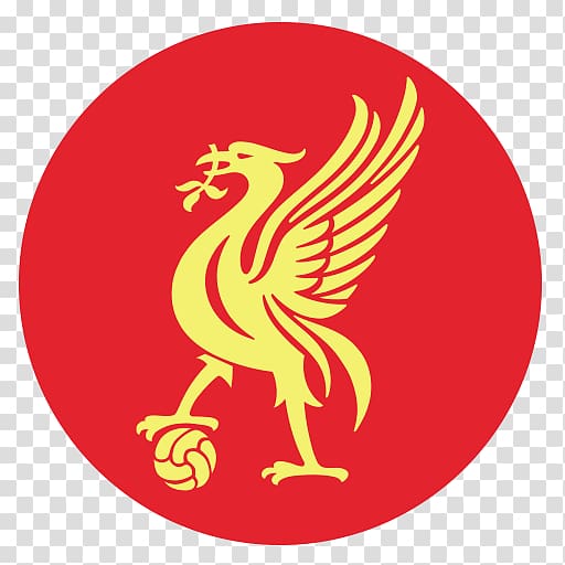 Liverpool F.C. Women Anfield Football UEFA Champions League, football ...