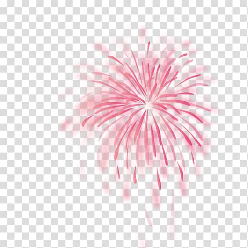 Fireworks Computer Software , fireworks transparent background PNG clipart