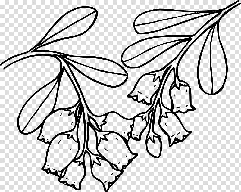 Bearberry Coloring book , urban transparent background PNG clipart