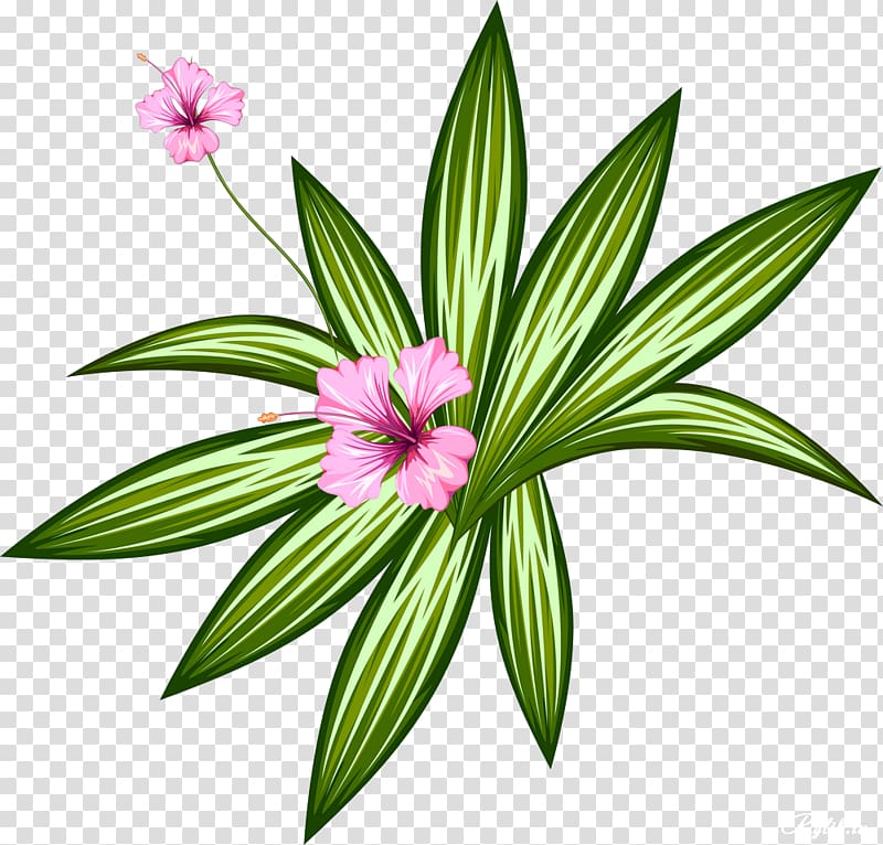 Flower , pretty flowers transparent background PNG clipart